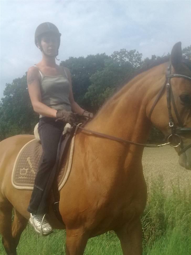 Dansk Varmblod Ranatha Girl - 2/8-09 billede 7