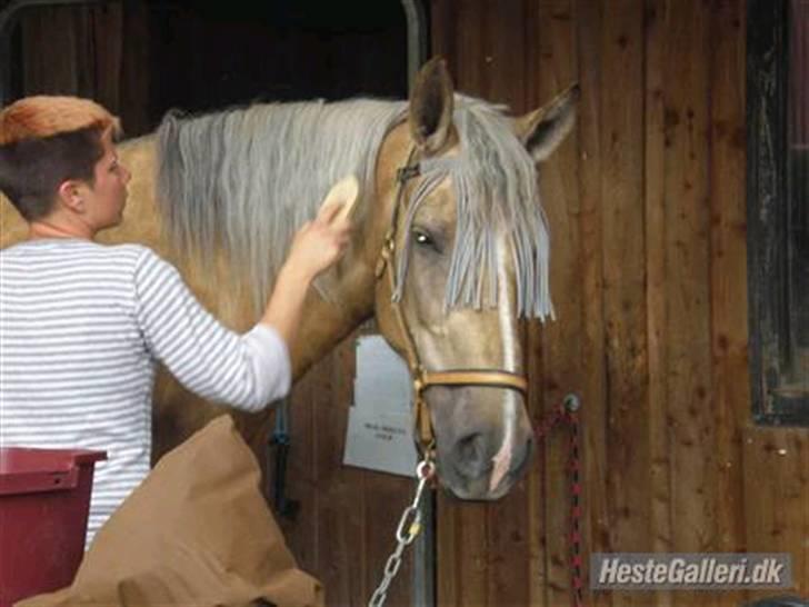 Anden særlig race Smukke Zally - Zally klar til en tur i skoven min lille eventyrs prinsesse billede 1
