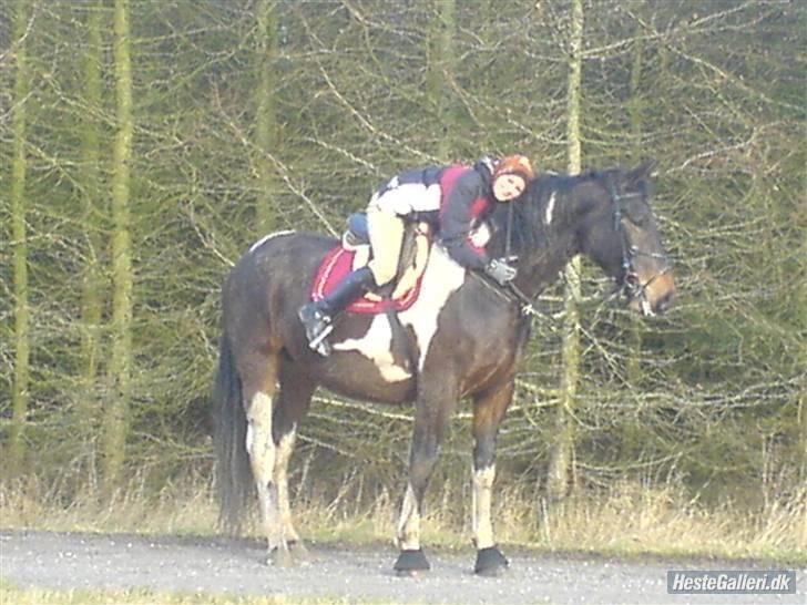 Oldenborg Bella billede 1