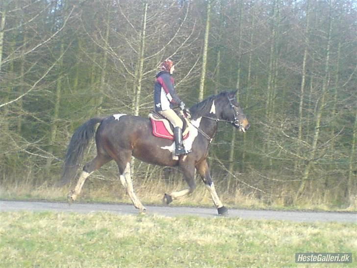 Oldenborg Bella billede 5