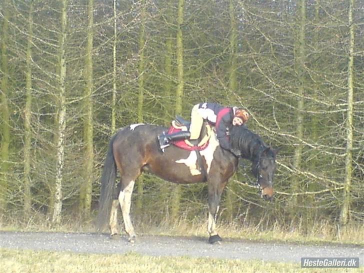 Oldenborg Bella billede 6