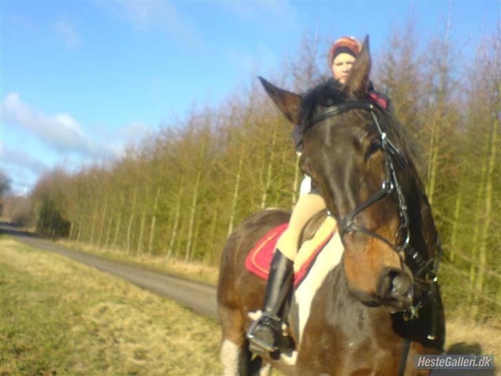 Oldenborg Bella billede 7