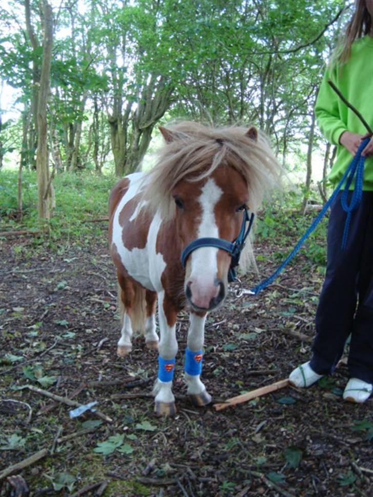 Miniature Superman Fra Supersesse - en træt superman <3 ( i må kun kopirere billederne hvis i få lov af mig) billede 12