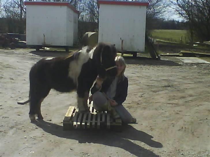 Miniature Prinsesse Fra Supersesse - hygge hygge <3( i må kun kopirere billederne hvis i få lov af mig) billede 15