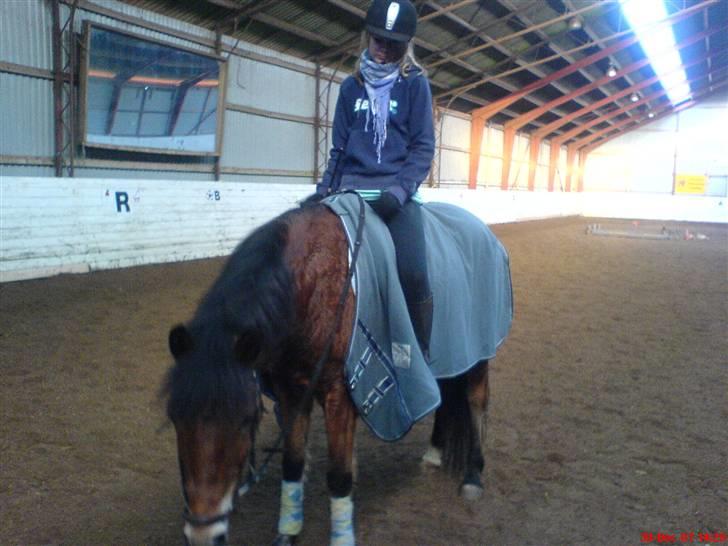 New Forest Tanholt Lukas *Halvpart* billede 11