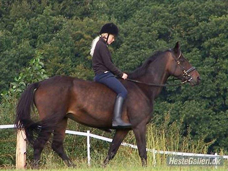Anden særlig race Tyra - Første ridetur hjemme :) billede 5