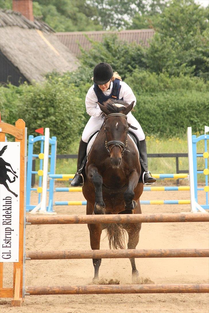 Anden særlig race Tyra - Stævne i Gl. Estrup! Tog desværre en bom! :) - Foto: Line Skou billede 6