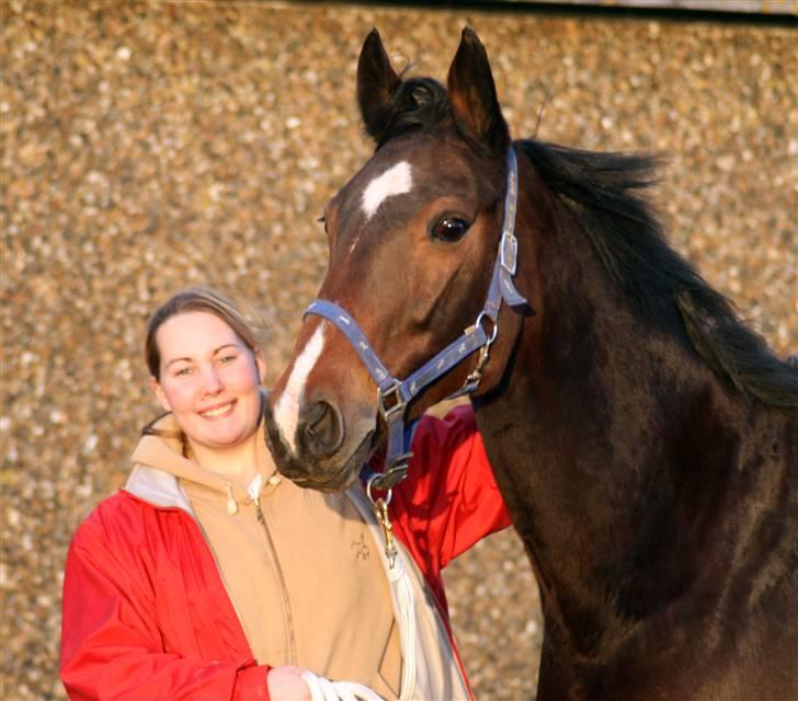 Dansk Varmblod Miss Manley R.I.P 23/10 billede 10