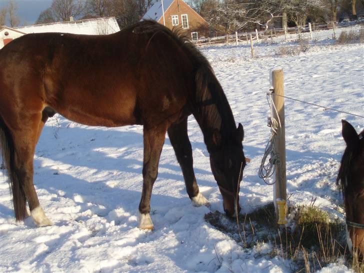 Traver By Densi Print  - d. 25.11.08 billede 2