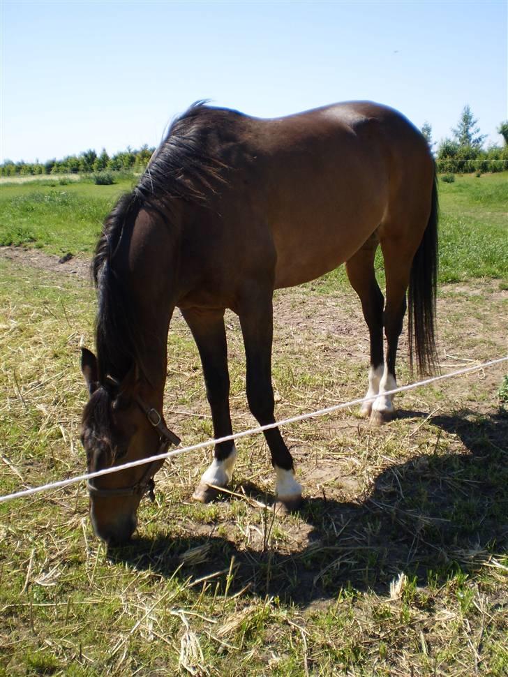 Traver By Densi Print  - Sommer ´09 billede 4