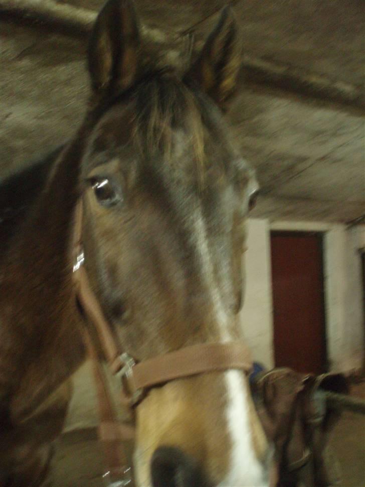 Traver By Densi Print  billede 6