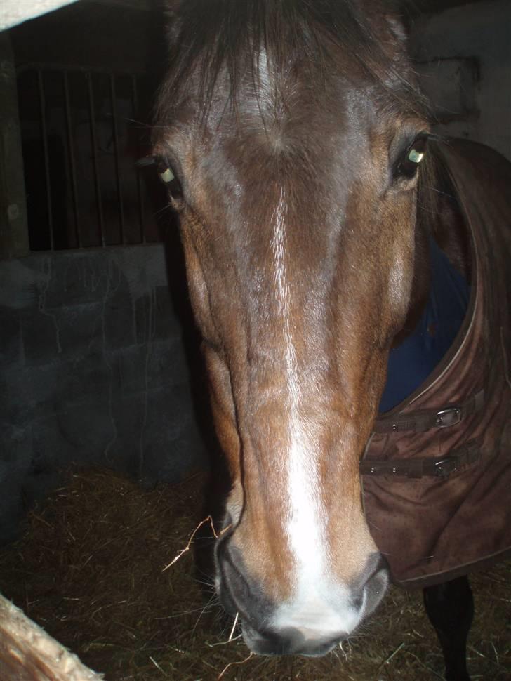 Traver By Densi Print  - By Densi i boksen billede 7