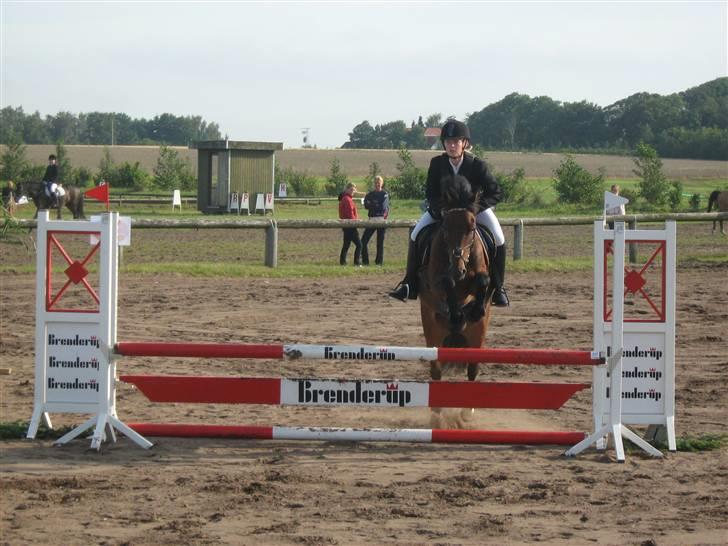 Welsh Pony (sec B) Bakkegaardens Prins-solgt - C-stævne i Hornum..  billede 19