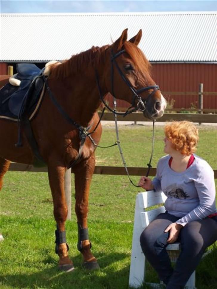 Holstener Allerbester 0004 - Smukke Bedse. Foto: Mathilde Hansen billede 13