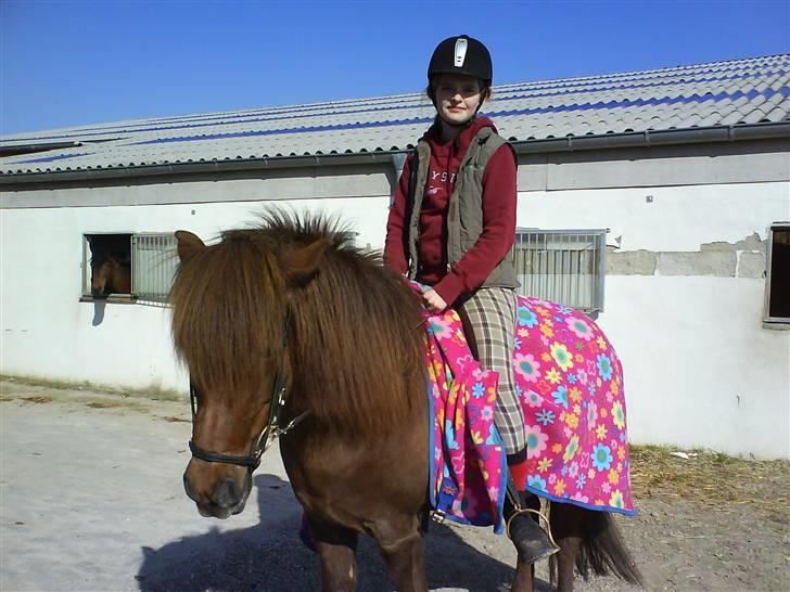 Islænder Sefja fra Krogen *solgt* - Mig og Bleff..en af de sidste gange jeg rider hende);<3 savner hende(: hendes hjerte er af guld:D<3 billede 10