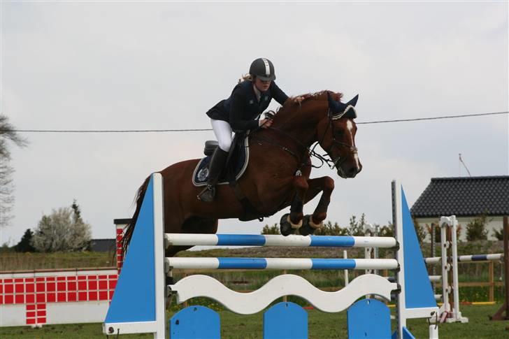 Holstener Le Poul - I en omspringning skal der vendes :-P Foto: Louise S billede 19