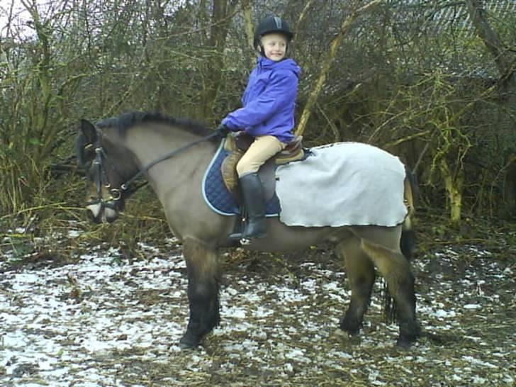 Anden særlig race Lukas - Lille Lukas med sin lille rytter:) billede 10