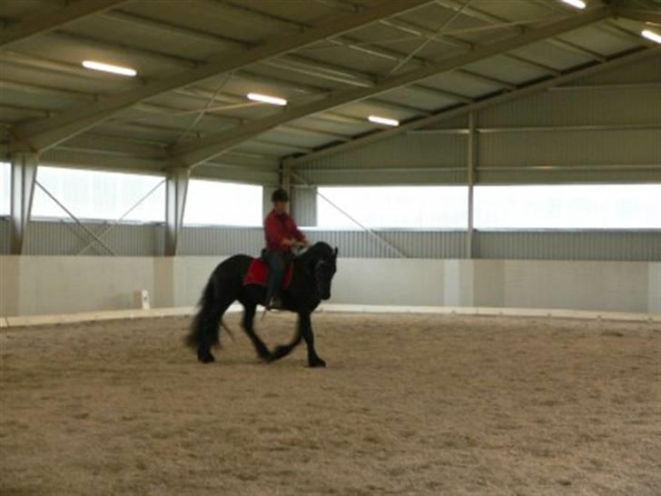 Frieser Meine vb Ster - Meine og Shane efter 20 minutter billede 17