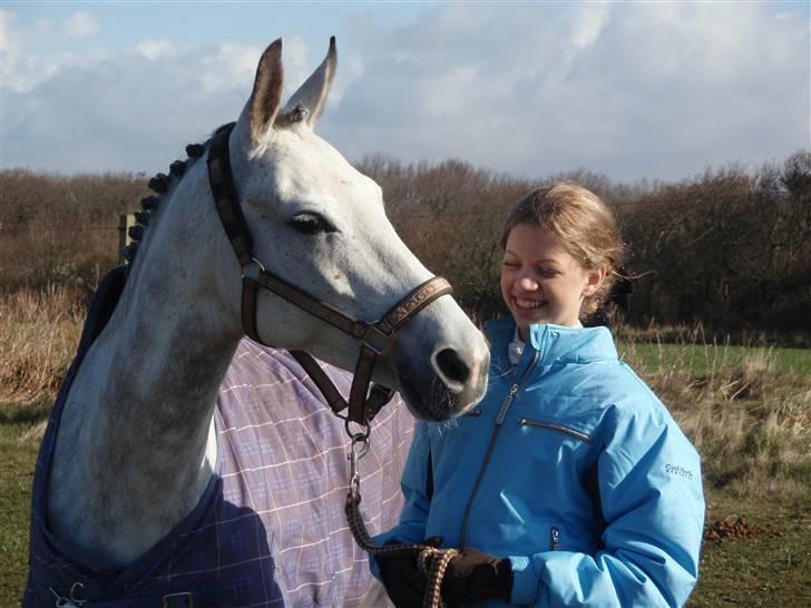 DSP Michel  billede 13