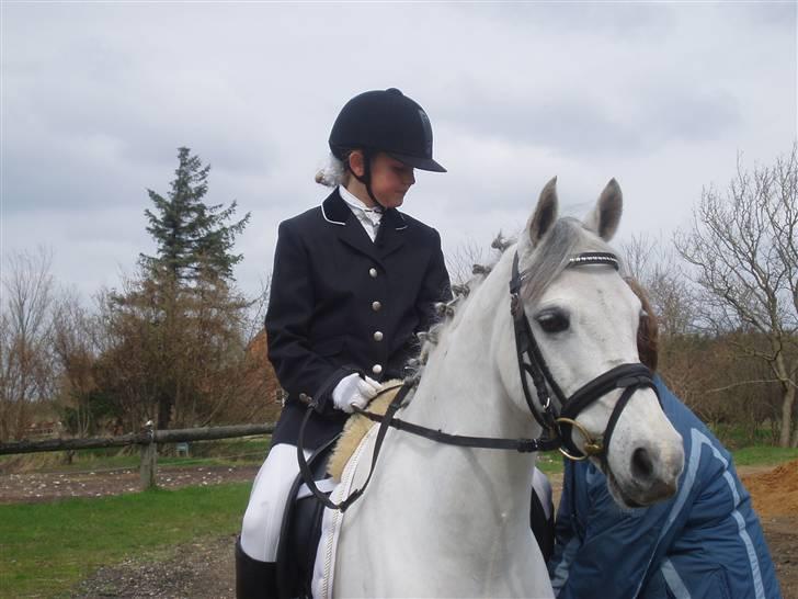 Welsh Pony (sec B) Bohemo Idol (Solgt) - Mig og Idol for 2 år siden til stævne i NTR billede 1
