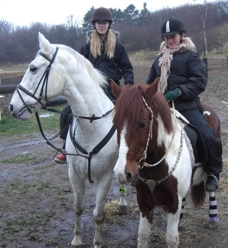 Anden særlig race *Pelle*(Pelle GRIS) - min veninde alberte på pelle og miiq på martell...<3<3<3<3 billede 14