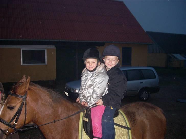 DSP jasmin sky  - det er min lille søster og min storbro´s kærste lillebro der rider på jasmin  billede 3