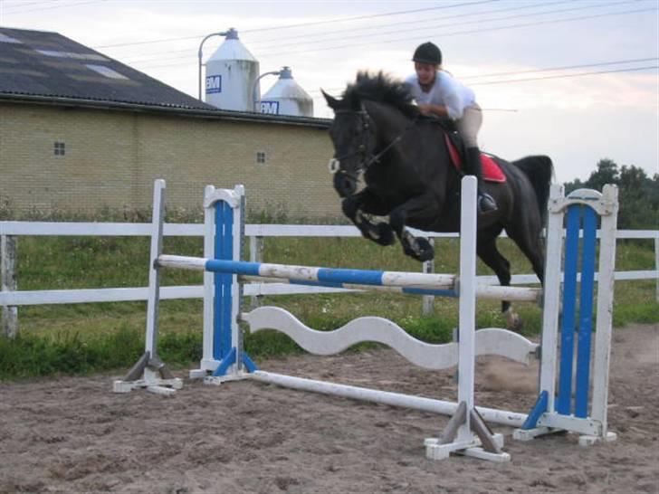 Oldenborg Blackie billede 8