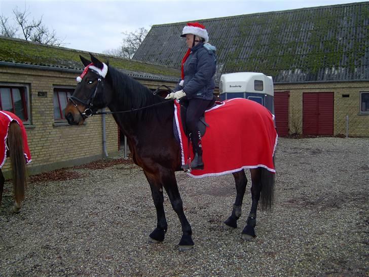 Traver Ginkgo Star - Juleoptog 2007 Liann og Ginkgo billede 4