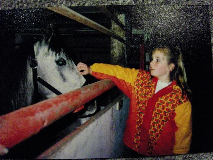 Anden særlig race Sammie * MIN FØRSTE HEST* - Da sammie kom hjem billede 13