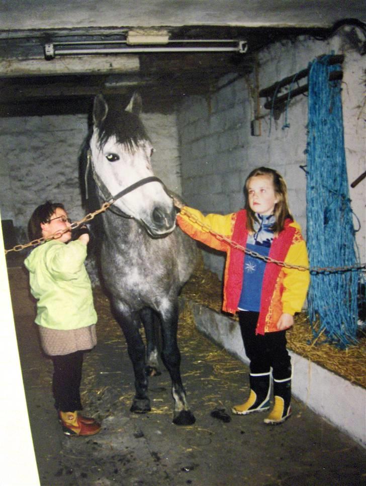 Anden særlig race Sammie * MIN FØRSTE HEST* - Hygge i stalden Sarah (veninde) Sammie og mig (Camilla) billede 16