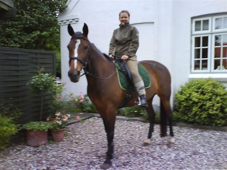 Traver Flicka - et af de sidste ridebilleder af Flicka og mig billede 1