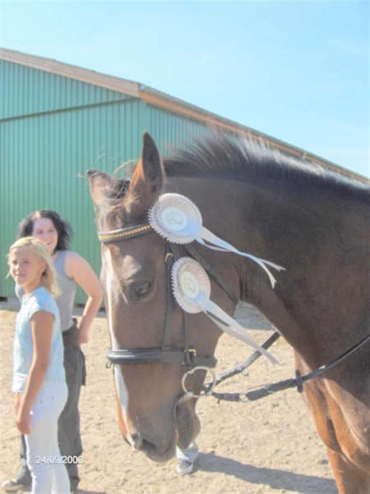 Traver Flicka - det sidste stævner vi var til okt 2006 billede 2