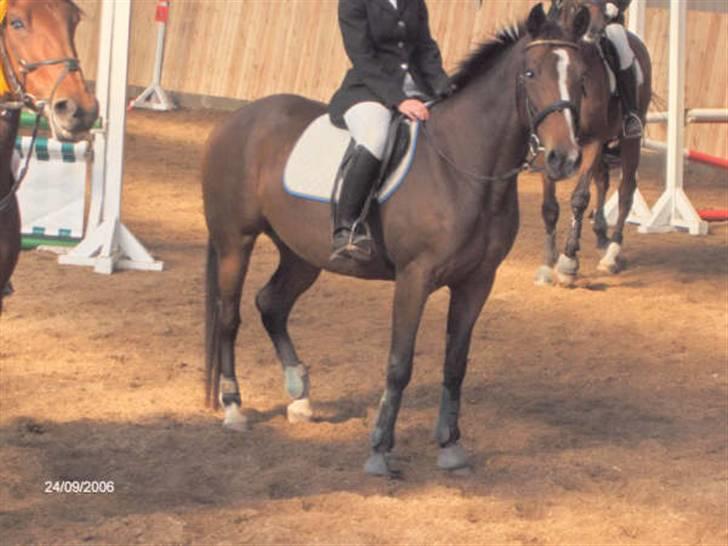Traver Flicka - det sidste stævne vi var til okt 2006 billede 3