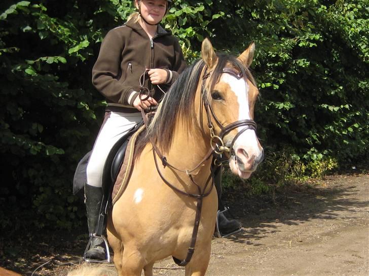 DSP snekkerups Blis (james) - 2´ daq på rideferie ? (: billede 7