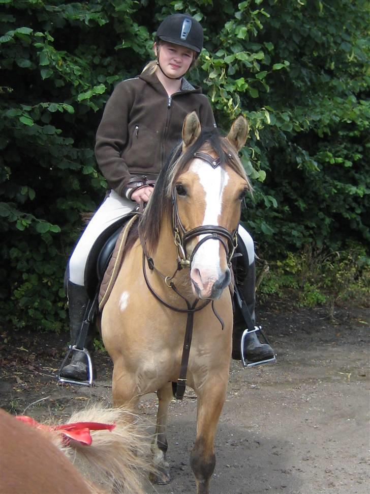 DSP snekkerups Blis (james) - 2´ dag på rideferie <3 (: billede 8