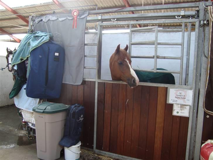 DSP Fantast A.M. billede 13