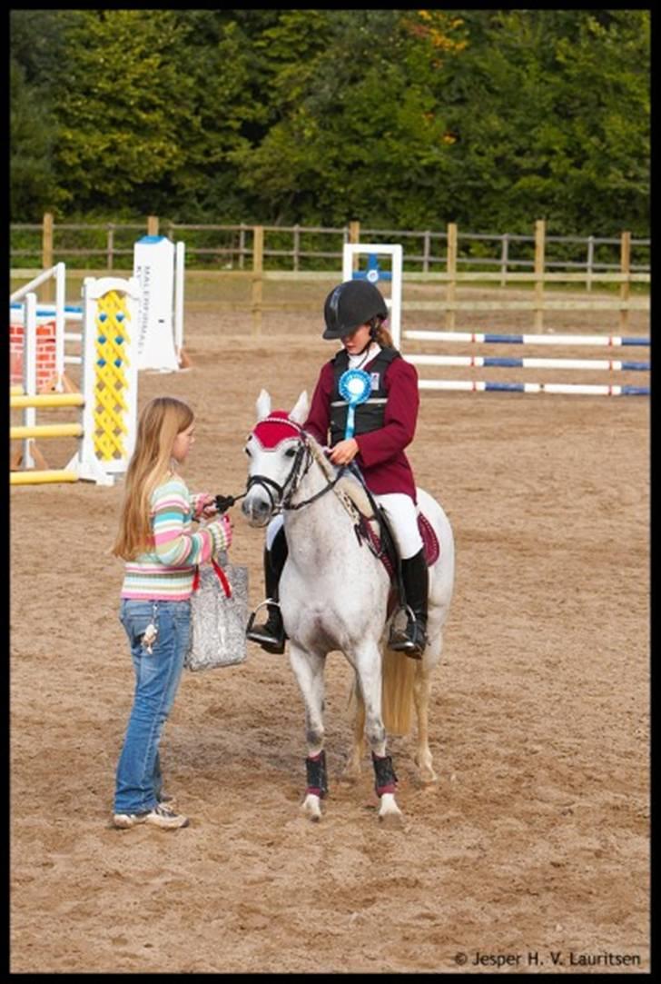 Anden særlig race Silva RIP - Wee vandt LA. Silva jeg elsker diiig <3<3 billede 13