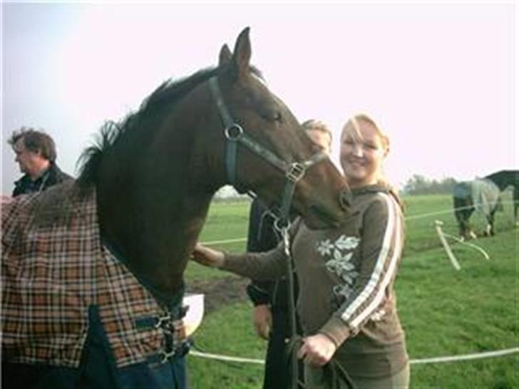 New Forest Kenzo Amarine  - hmm er den gamle ejer som hedder Charlotte. hun kom lige på besøg, engang i sommerferien! for at ride på den dejlige ponze! <´33 billede 15