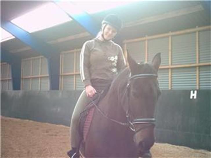 New Forest Kenzo Amarine  - her rider hun på ham, for første gang siden jeg køte ham! (snart 3 år siden!) billede 16