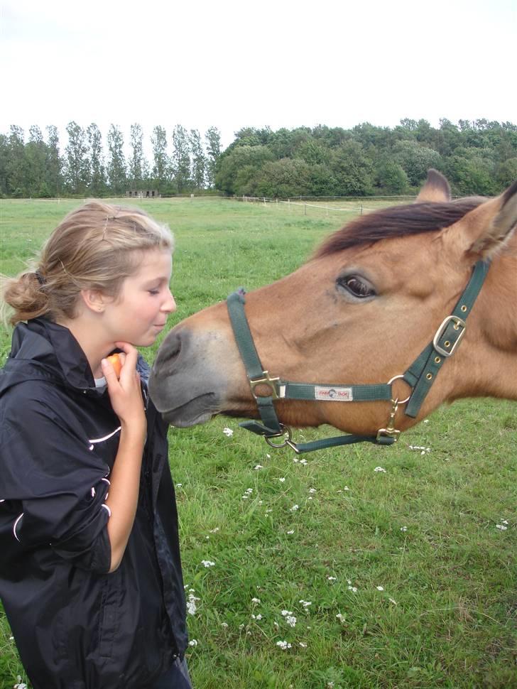 Anden særlig race Klakkebjergs La Chevalle  - Velkommen til Chevalles profil (: billede 1