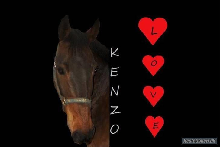 New Forest Kenzo Amarine  billede 18