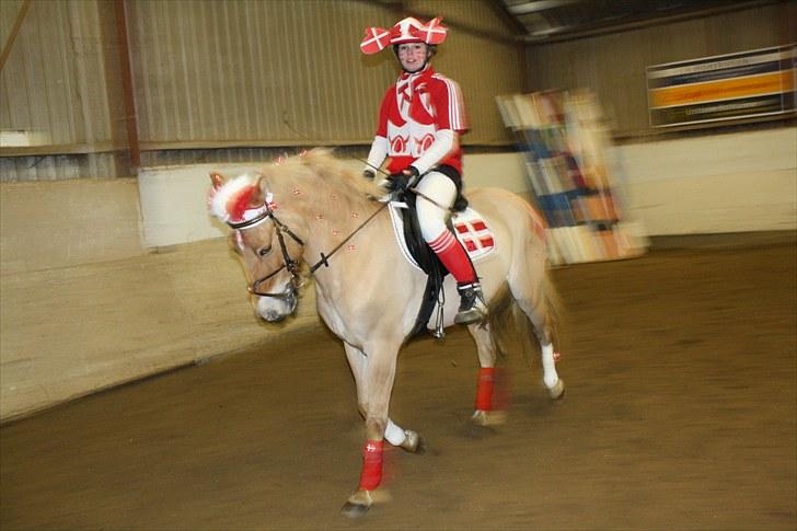 Anden særlig race Kellerups Golden Star - til fastelavn holigan <3 billede 12