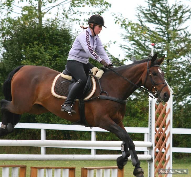 Trakehner Rødhøj's Chapman(<3) - Springkursus på SPS August 08, LB "stævne" som afslutning :] billede 14