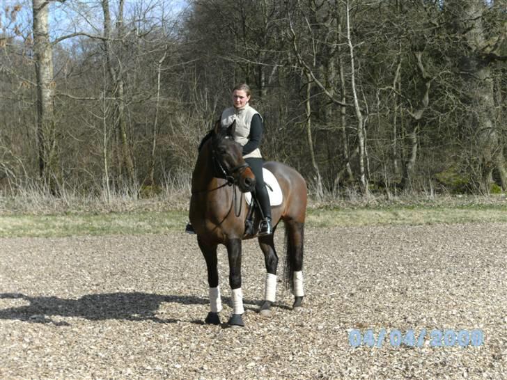 Trakehner Aschianti - Flot par ;)  billede 1