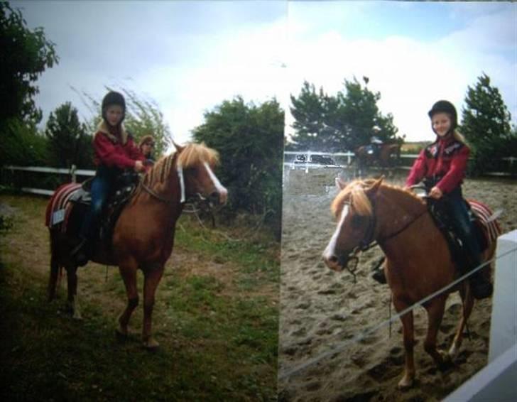 Anden særlig race Speedy Gonzales.. R.I.P - Speedy og jeg til vores første stævne.. <33 billede 15