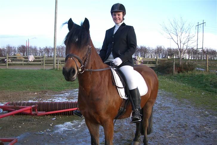 Anden særlig race Tordenskjold *Buller-basse* - smukt... billede 14