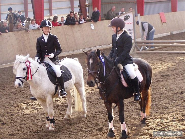 Anden særlig race Melissa ¤Min pige¤ - Me vandt ;D den pony er alt. Mester fotograf: Mølle's Mor billede 15