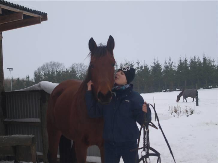 Traver Jelly Bean - Jelly og mig<3 billede 5