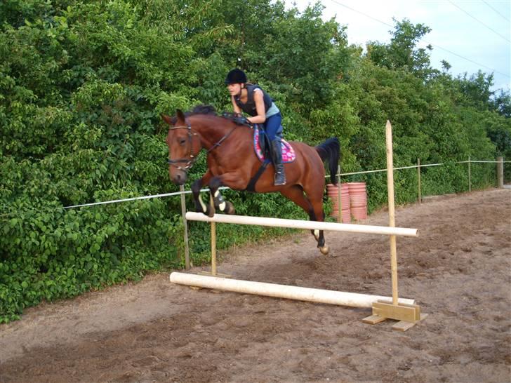 Traver Jelly Bean - Jelly og mig springer<3 billede 7