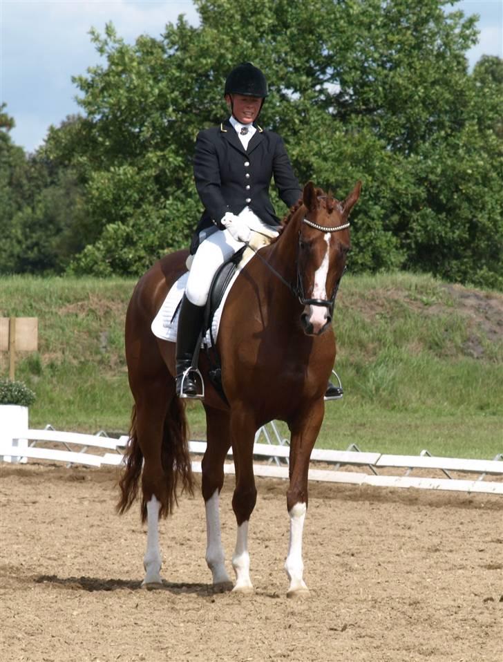 Dansk Varmblod Miss Dior SRDH - Dioden & AC billede 19